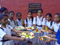 Previous Years Activities