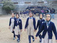 Previous Years Activities